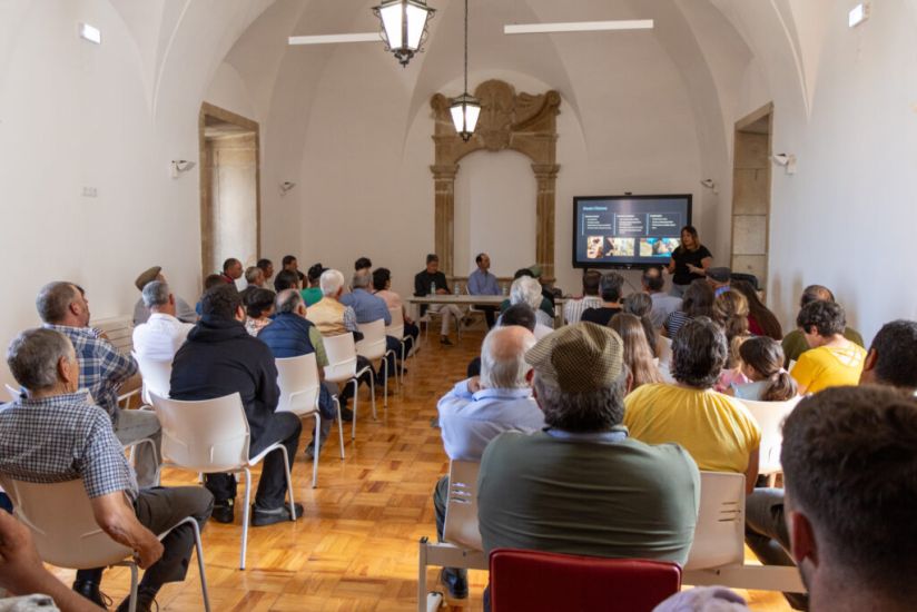 Município de Gouveia sensibiliza criadores de ovinos para o vírus da língua azul