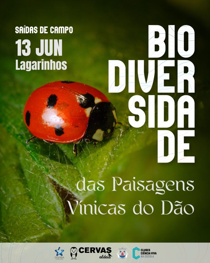Saída de Campo dedicada à Biodiversidade das Paisagens Vínicas do Dão