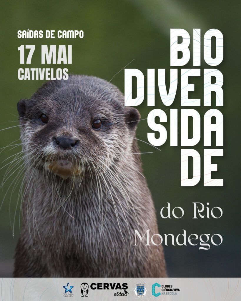 Saída de Campo dedicada à Biodiversidade do Rio Mondego em Cativelos