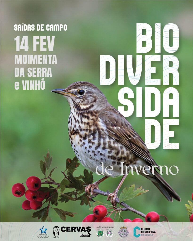 Município de Gouveia convida a descobrir a biodiversidade de Inverno na Serra da Estrela