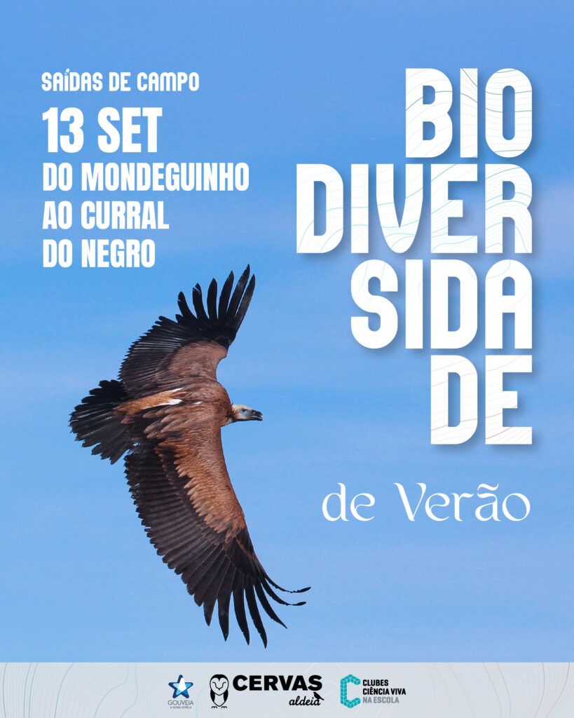 Saída de Campo dedicada à Biodiversidade de Verão