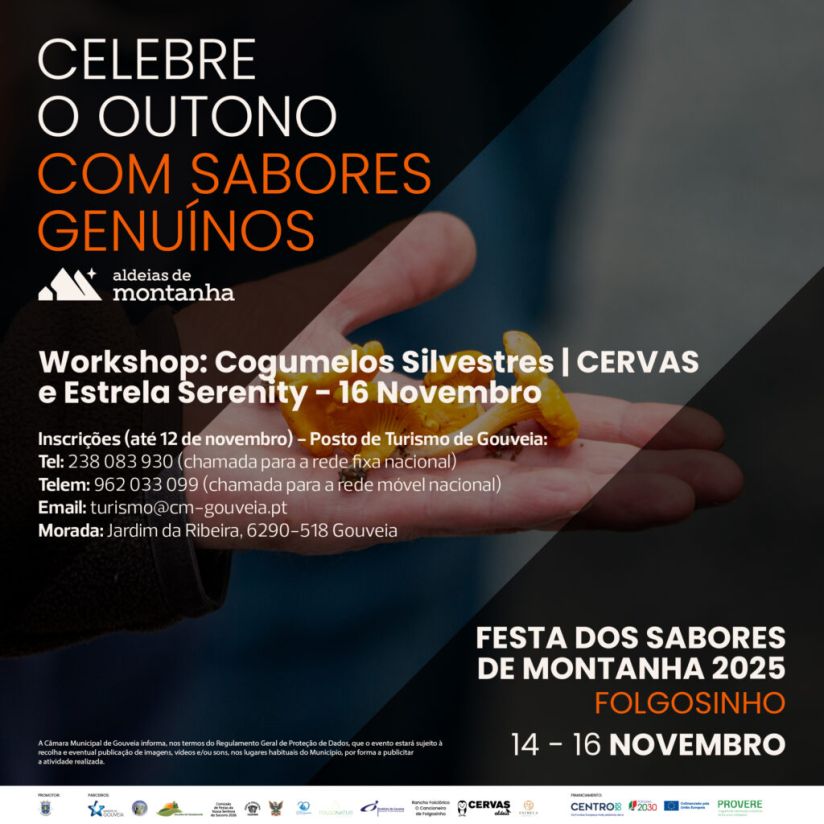 Festa dos Sabores de Montanha 2025 | Workshop: Cogumelos Silvestres | 16 de novembro