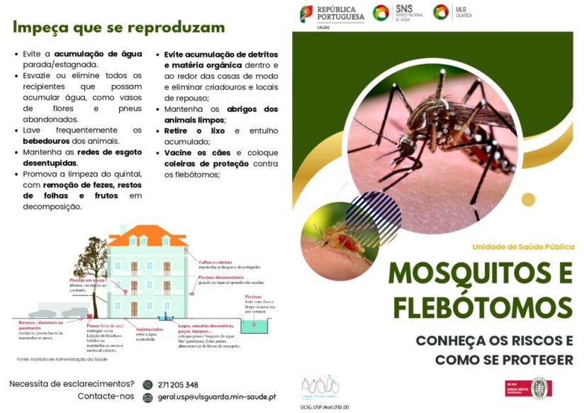 Informação | Deteção de mosquito Aedes albopictus no concelho da Covilhã &#8211; adoção de medidas preventivas