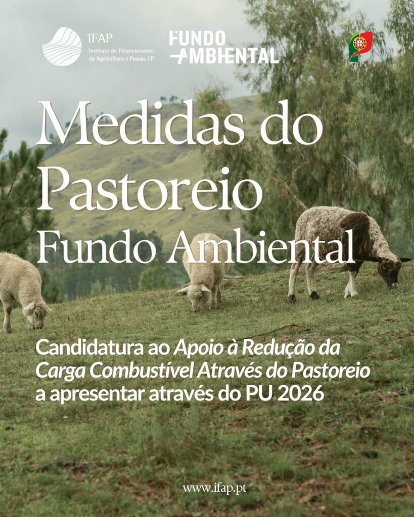 Medidas do Pastoreio – Pedido Único (PU) 2026