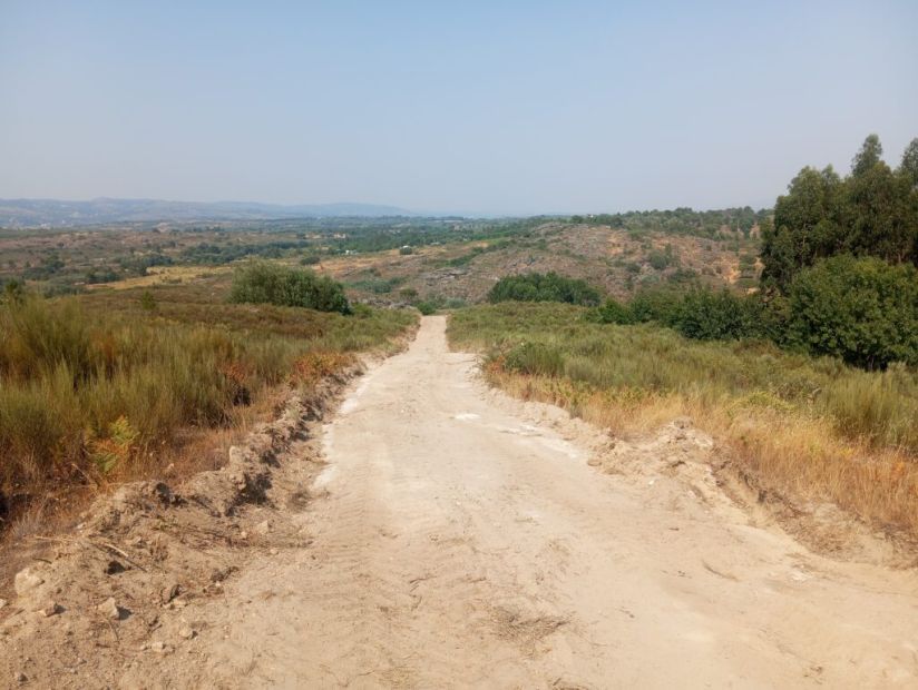 Gouveia avança na limpeza e beneficiação da rede viária florestal