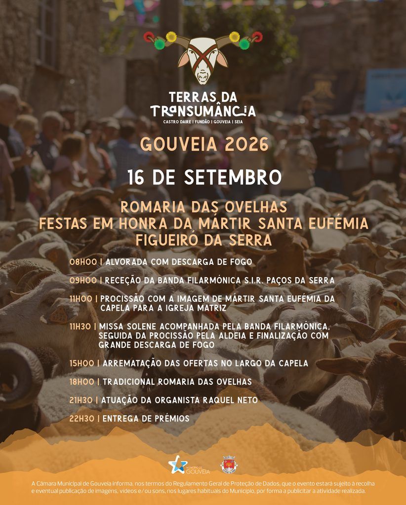Terras da Transumância: Romaria das Ovelhas de Figueiró da Serra