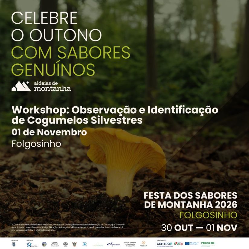 Workshop de Observação e Identificação de Cogumelos Silvestres – Inscrições abertas | Festa dos Sabores de Montanha